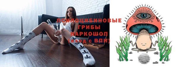 дмт Дмитровск