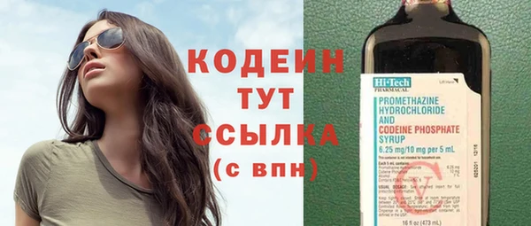 Альфа ПВП Дмитриев