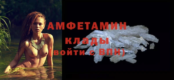 дмт Дмитровск