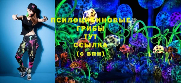 ешки Дмитров