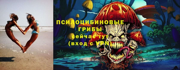 ешки Дмитров