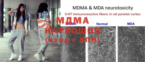 дмт Дмитровск