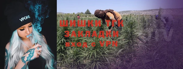 ешки Дмитров