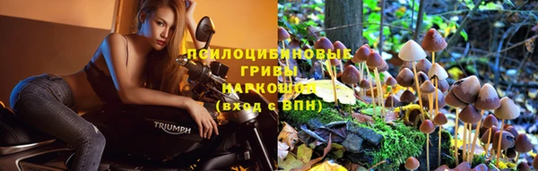 дмт Дмитровск